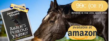 Profile for Jacqueline P Vincent