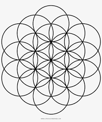 Mandala is a complex, symmetrical or asymmetrical ornament that represents a microcosm of the entire universe. Flower Of Life Coloring Page Flower Of Life Chakras Transparent Png 1000x1000 Free Download On Nicepng