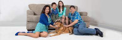 Although the majority of pest infestations occur in residential settings, commercial buildings and facilities are not immune to invasion. Professional Carpet Cleaning Pooler Ga