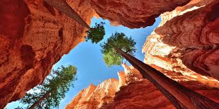 Bryce Canyon National Park Utah