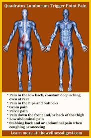 Pin On Mid And Low Back Muscles