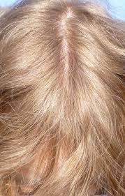 Certified Organic Henna And Indigo Suvarna Co Uk Dyed Natural Hair Natural Hair Treatments Hair