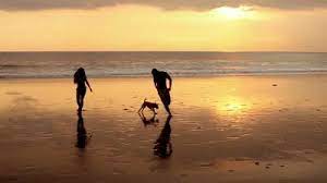 Dog Beach Sunset Beach