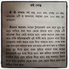 Husnain Alston Recipe Of Chicken Momo In Bengali