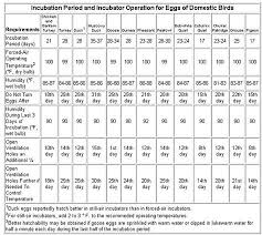 How To Incubate Chicken Or Duck Eggs From Fertile Hatching