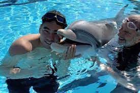 Thủy cung Trung Quốc dùng cá heo robot thay thế động vật hoang dã |  baotintuc.vn