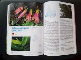 Image result for Balthasaria