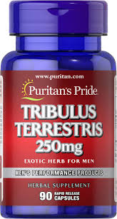 Image result for Tribulus terrestris