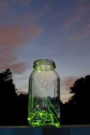 80 I Wonder How They Have The Power To Shine Ideas In 2020 Firefly Lighting Bugs Beautiful Bugs