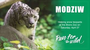 Sandra Vitello Hanley