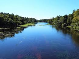 Lake dorr cabin is at the southern end of lake dorr. Lake Dorr Campground Lake Overlooked By The Crowds Review Of Ocala National Forest Umatilla Fl Tripadvisor
