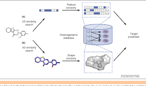 These include but are not limited to the fields of genetic toxicology. Figure 2 From In Silico Methods To Address Polypharmacology Current Status Applications And Future Perspectives Semantic Scholar