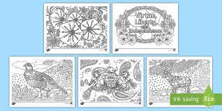 These two worksheets are part of a 14 page workbook! Pennsylvania State Symbols Mindfulness Coloring Sheets