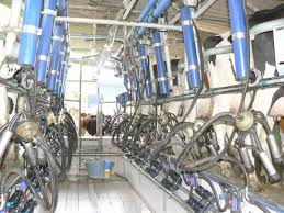 Lait Le Prix De Revient Publie Par L Idele En Details