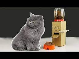 Diy Kitten Cat Food Dispenser From Cardboard At Home Youtube Cat House Diy Diy Cat Food Kitten House