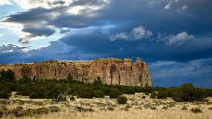 Image result for Moorochloa