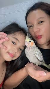 Lost cockatiel named Peaches in Croydon, PA