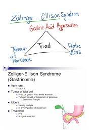 Zollinger Ellison Syndrome Men 1 Medical Knowledge Nursing Study Medical Education