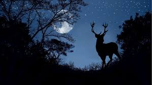 Trend Google: luna oggi