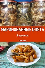 как солить грузди на зиму в банках простой рецепт Marinovannye Opyata Bystrye I Prostye Recepty Dlya Doma Na Lyuboj Vkus Otzyvy Vremya Gotovki Kalorii Super Poisk Lichnaya Kk Pitanie Recepty Idei Dlya Blyud Eda