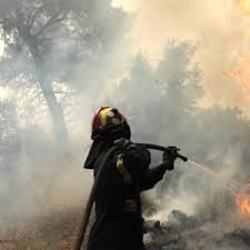 Σύμφωνα με το evima.gr, η φωτιά καίει δασική έκταση πίσω από τη δεη στη χαλκίδα. Fwtia Twra Eidhseis Shmera Kai Nea Twra Gia Fwtia Twra Flash Gr