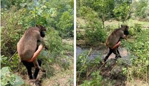 Những bài hát hay nhất của nguyễn ngọc anh. Lsqbznxb0owrim