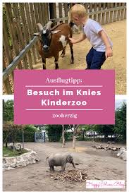 besuch im knies kinderzoo in rapperswil zooherzig ponyreiten kinder zoo