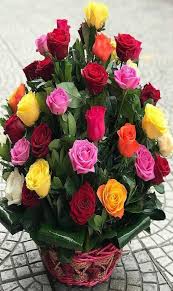 Beautiful Flowers For Her Birthday Pin By Ivanka Kostova On Rasteniya With Images Birthday Flowers Bouquet Beautiful Roses Flower Arrangements