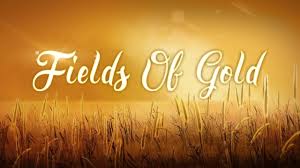 I never made promises lightly and there have been some that i've broken but i swear in the days still left we'll walk in fields of gold we'll walk in fields of gold. Gitarrenbegleitung Zu Fields Of Gold Instrumental Gesucht Musiker Board