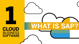 Check spelling or type a new query. What Is Sap Definition And Meaning