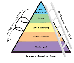 (uncountable) the quality of being agile. Blog The Strategic Agility Institute