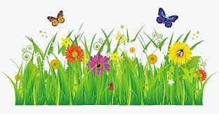 Grass Flowers Png Cartoon Flowers Flowers Clipart Grass Grass Clipart In 2020 Cartoon Flowers Grass Clipart Flower Drawing