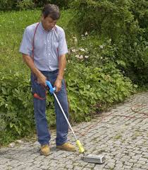 Das Unkraut Im Garten Scheint Immer Ein Bisschen Schneller Zu Wachsen Als Die Gewunschten Blumen Oder Nutzpflanzen Unkraut Im Garten Unkraut Unkraut Abflammen