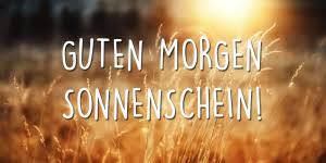 Guten Morgen Sonnenschein Die 25 Beste Guten Morgen Spruche Guten Morgen Spruch Guten Morgen Sonnenschein Morgen Spruche