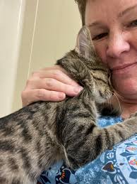 Adopted pet adjusting to new home