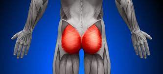 Maybe you would like to learn more about one of these? The Difference Between Tailbone Bruises Fractures Back Surgeon