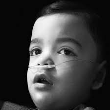 Fundraiser for Paul Gut by Leah Ibeth : Maximus G