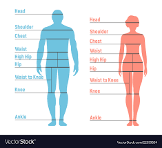 Woman And Girl Size Chart Human Front Side
