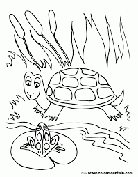 Explore our coloring page libraries and let the fun begin. Free Coloring Pages Of A Frog In A Pond Coloring Home