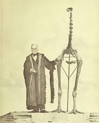 Image result for site:byggahus.se grus till infiltration