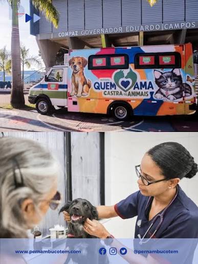 A Prefeitura do Recife inicia nesta sexta-feira (24) o serviço itinerante  de castração de cães e gatos, o castramóvel, com mais de 500 procedimentos  gratuitos por mês. A primeira ação acontece no