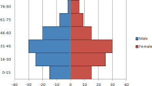 Excel 2007 Create A Demographics Chart