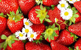 The most common strawberry wallpaper material is fabric. Free Download Strawberry Computer Wallpapers Desktop Backgrounds 1920x1200 Id 1920x1200 For Your Desktop Mobile Tablet Explore 40 Strawberry Wallpaper Desktop Strawberry Shortcake Wallpaper Vintage Strawberry Wallpaper Kawaii Strawberry