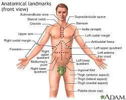 Abdominal pain is felt in the abdomen. Abdominal Mass Information Mount Sinai New York