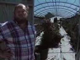 They serve an aesthetic purpose and will help calm and raise your moods. Cactus King Feature Youtube