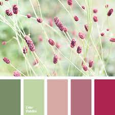 Whereas in a cmyk color space, it is composed of 0% cyan, 24.7% magenta, 20.4% yellow and 0% black. Green And Pink Color Palette Ideas