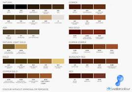 12 Perspicuous Color Mixing Chart Brown