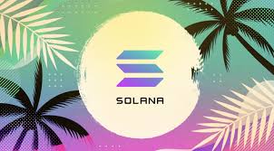 Free logos on vests, shirts, jackets Is Solana Summer Coming Or Is It Just Another Crypto Meme Aax Academy