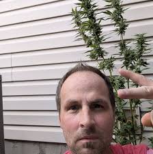 What are some good lawn care services in Boone County?