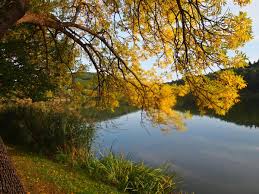 Der see ist in erster linie ein fischerparadies. To Wellness Hotel Es Etterem Bank Szallashely